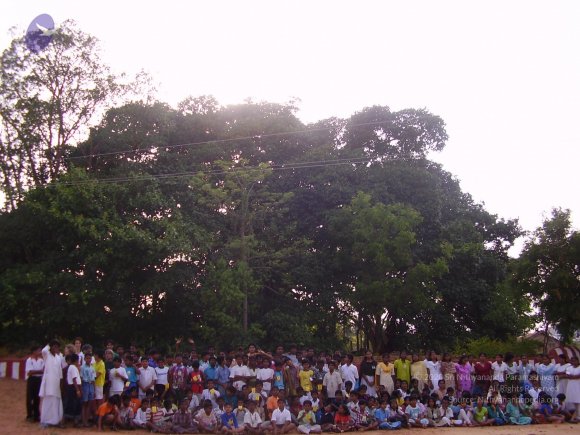 20060503_Photo_1146_P3170317_CMP_WM