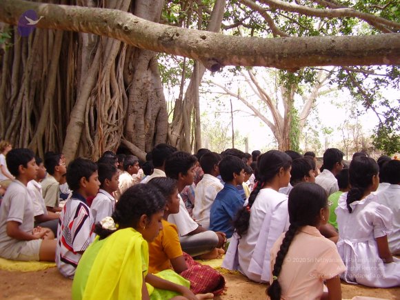 20060504_Photo_1009_P3170112_CMP_WM