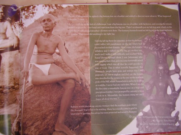 20060504_Photo_1019_P3170069_CMP_WM