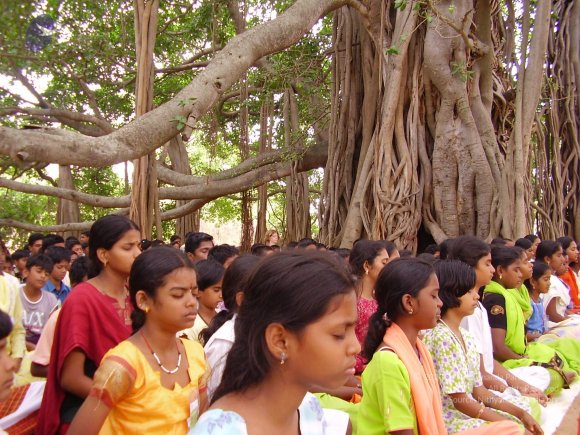 20060504_Photo_1022_P3170106_CMP_WM