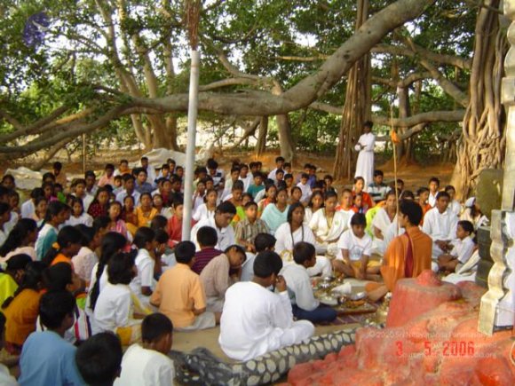 20060504_Photo_1035_DSC02076_CMP_WM