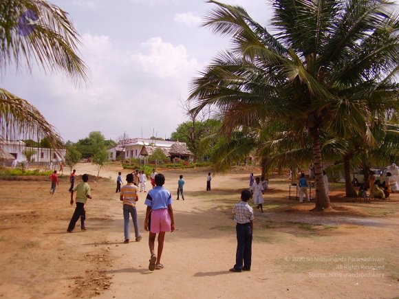 20060504_Photo_1043_P3170003_CMP_WM