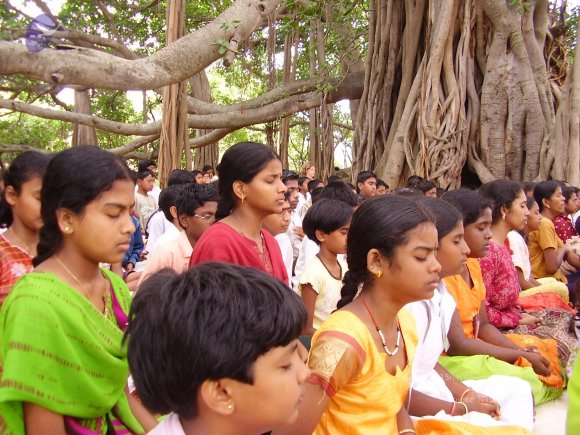 20060504_Photo_1052_P3170110_CMP_WM