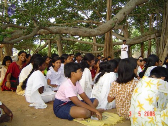 20060504_Photo_1063_DSC02060_CMP_WM