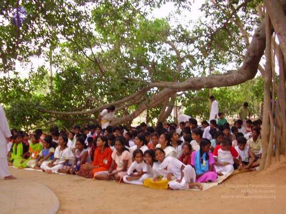 20060504_Photo_1074_P3170091_CMP_WM