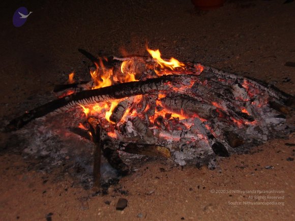 20060504_Photo_1079_P3180001_CMP_WM