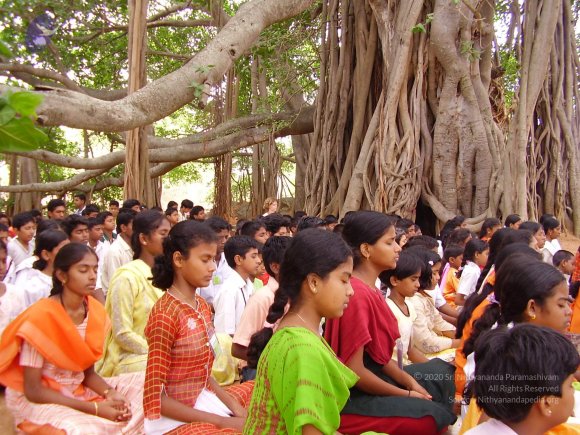 20060504_Photo_1095_P3170109_CMP_WM