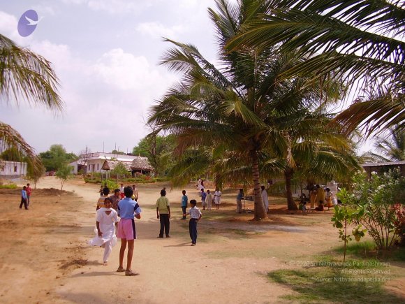 20060504_Photo_1107_P3170002_CMP_WM