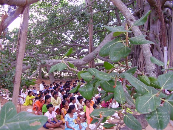 20060504_Photo_1122_P3170160_CMP_WM