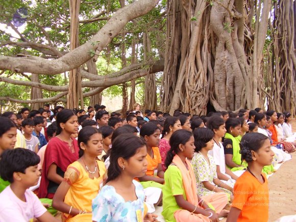 20060504_Photo_1143_P3170105_CMP_WM