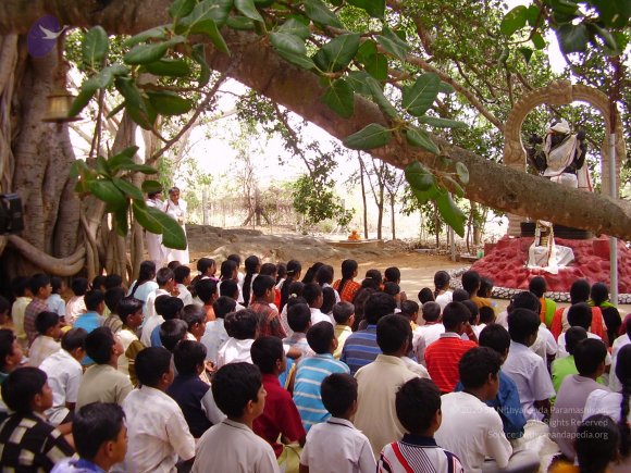 20060504_Photo_1152_P3170123_CMP_WM