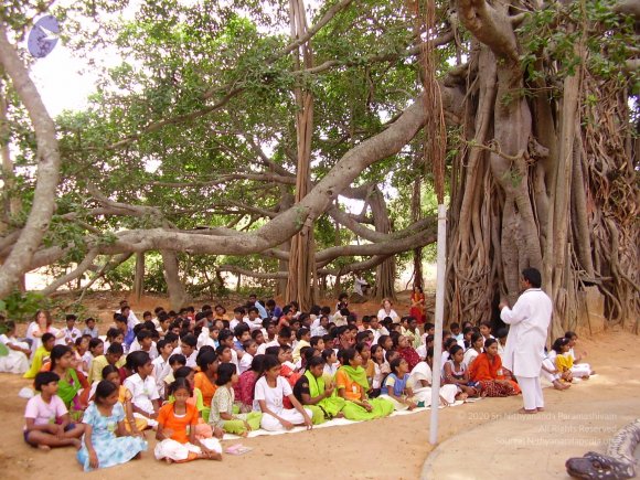 20060504_Photo_1168_P3170158_CMP_WM