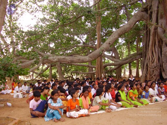 20060504_Photo_1175_P3170095_CMP_WM