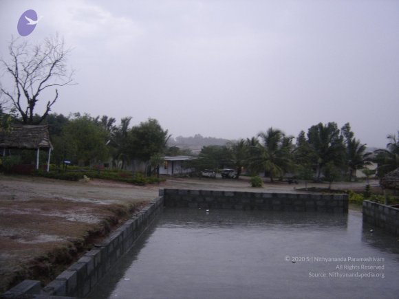 20060509_Photo_1015_DSC04860_CMP_WM