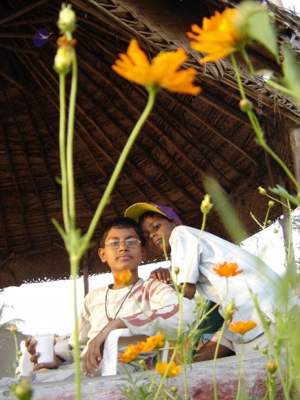 20060509_Photo_1020_DSC04703_CMP_WM