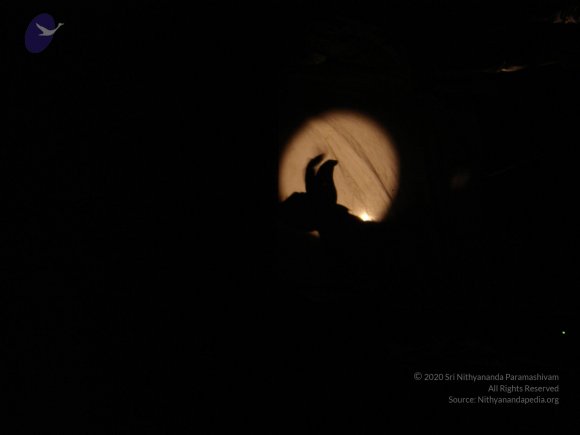 20060509_Photo_1038_DSC04747_CMP_WM