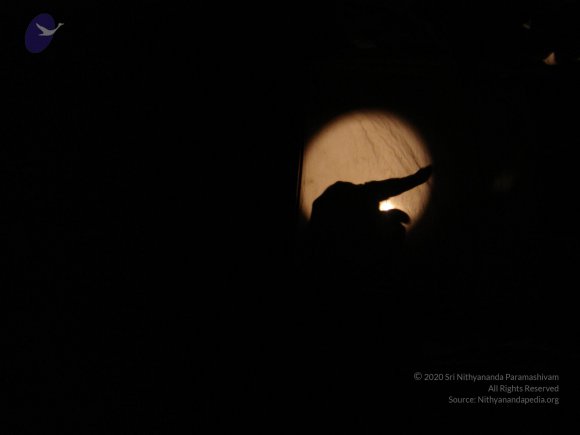 20060509_Photo_1043_DSC04740_CMP_WM