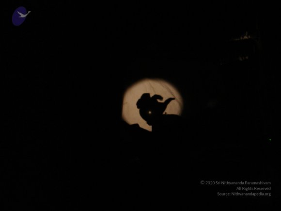 20060509_Photo_1056_DSC04733_CMP_WM