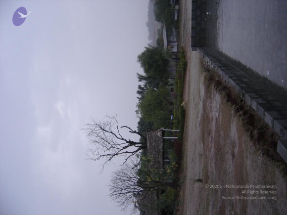 20060509_Photo_1064_DSC04867_CMP_WM