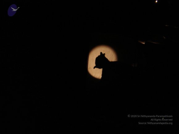 20060509_Photo_1073_DSC04754_CMP_WM