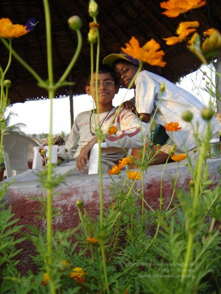 20060509_Photo_1089_DSC04702_CMP_WM