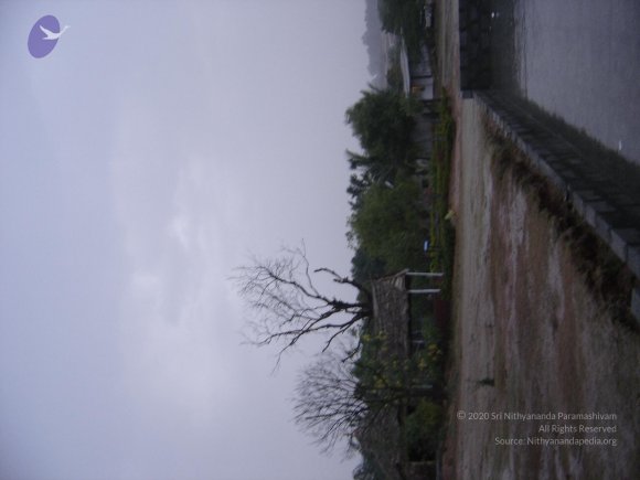 20060509_Photo_1141_DSC04866_CMP_WM