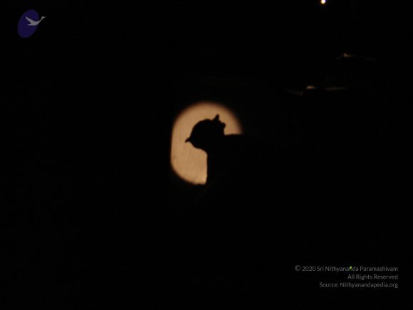 20060509_Photo_1146_DSC04755_CMP_WM