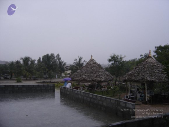 20060509_Photo_1169_DSC04863_CMP_WM