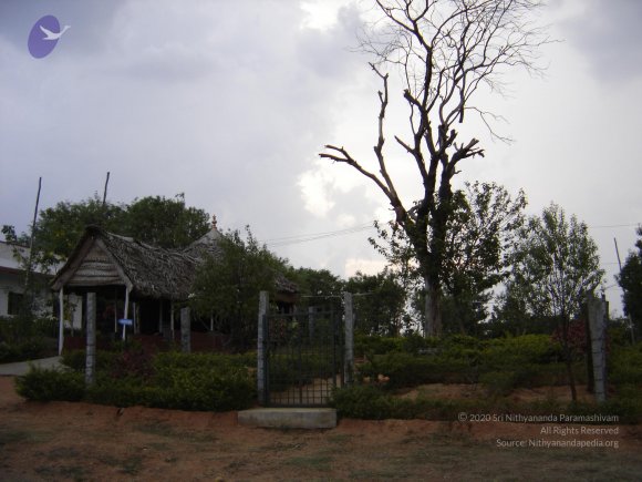 20060505_Photo_1381_DSC04108_CMP_WM