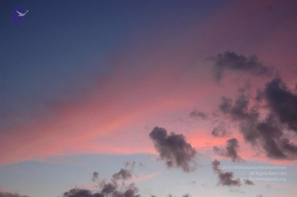 20061114_Photo_1044_DSC_8251_CMP_WM