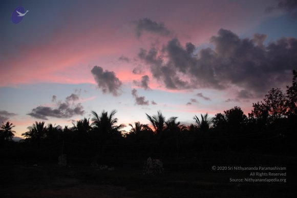 20061114_Photo_1090_DSC_8252_CMP_WM