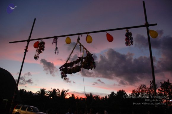 20061114_Photo_1110_DSC_8262_CMP_WM