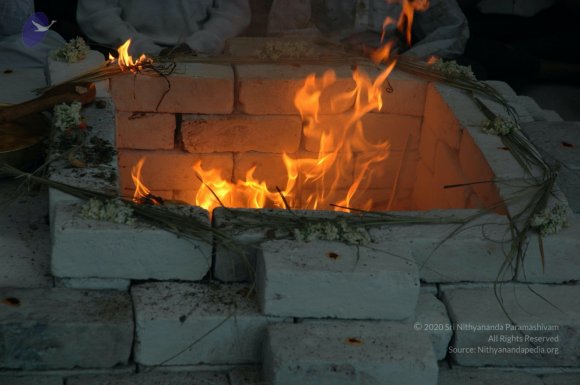 20061002_Photo_1037_DSC_7153_CMP_WM