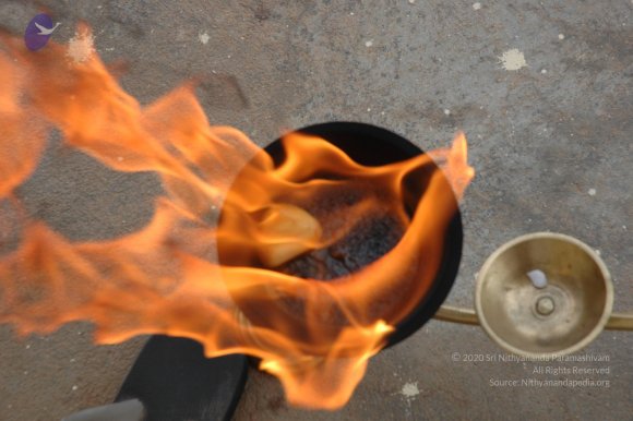 20061019_Photo_1000_DSC_6485_CMP_WM