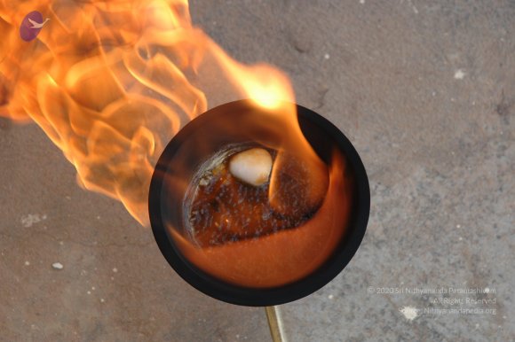 20061019_Photo_1001_DSC_6494_CMP_WM