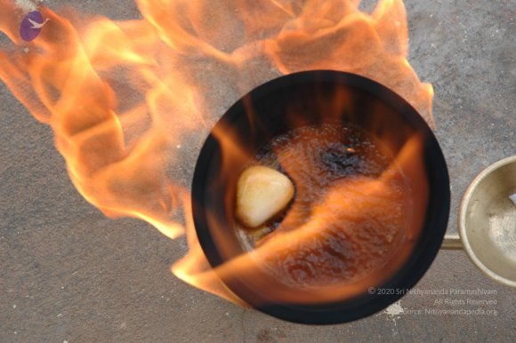 20061019_Photo_1003_DSC_6491_CMP_WM