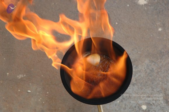 20061019_Photo_1008_DSC_6495_CMP_WM