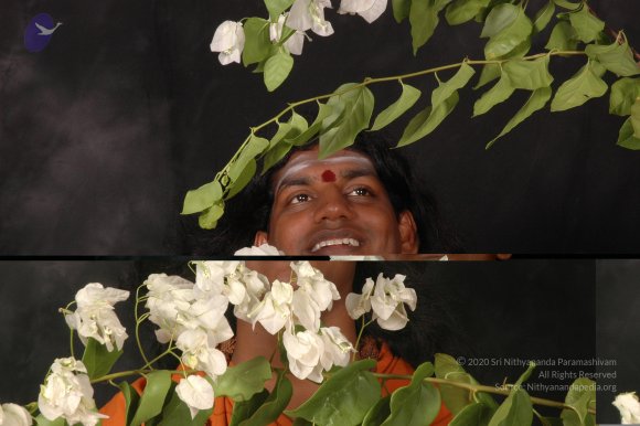 20061019_Photo_1071_DSC_6168_CMP_WM