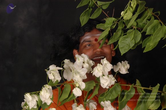 20061019_Photo_1079_DSC_6171_CMP_WM