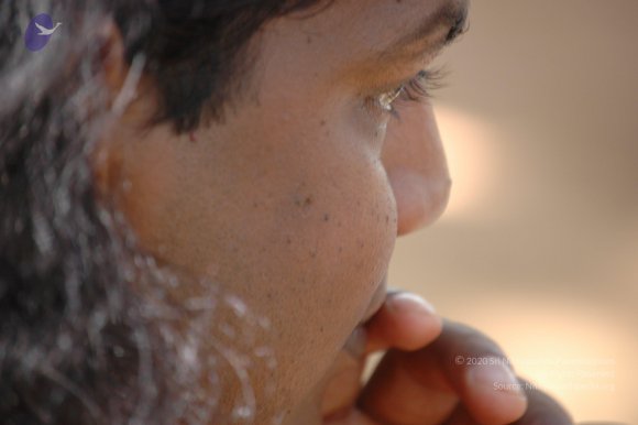 20061019_Photo_1153_DSC_5385_CMP_WM