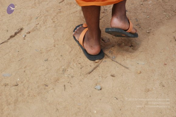 20061019_Photo_1196_DSC_5312_CMP_WM