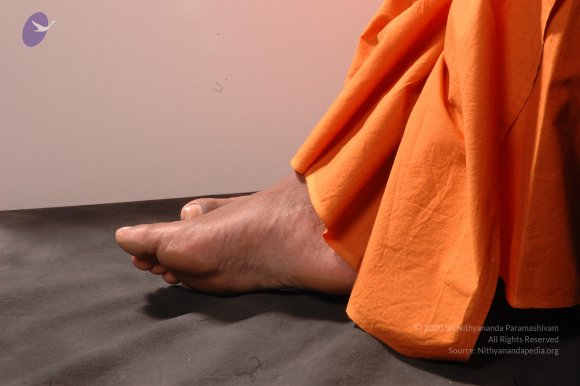 20061019_Photo_1205_DSC_6417_CMP_WM