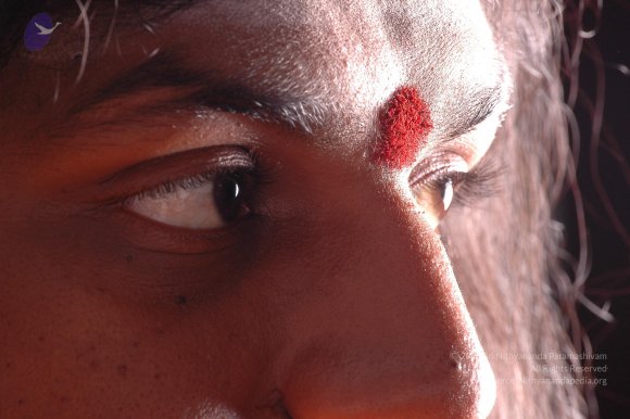 20061019_Photo_1262_DSC_6278_CMP_WM