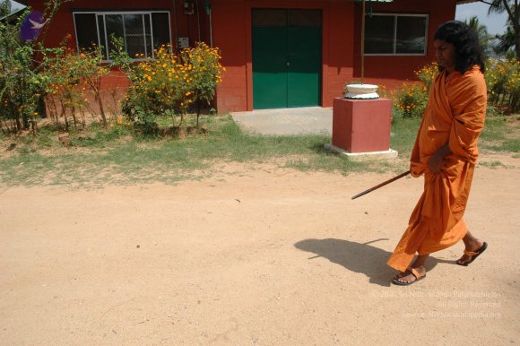 20061019_Photo_1296_DSC_5331_CMP_WM