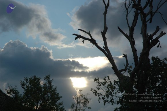 20061019_Photo_1326_DSC_5581_CMP_WM