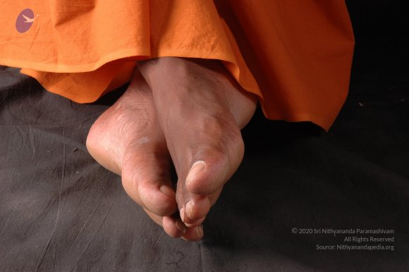 20061019_Photo_1344_DSC_6411_CMP_WM