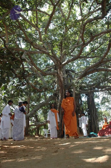 20061019_Photo_1380_DSC_5484_CMP_WM