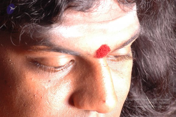 20061019_Photo_1456_DSC_6281_CMP_WM