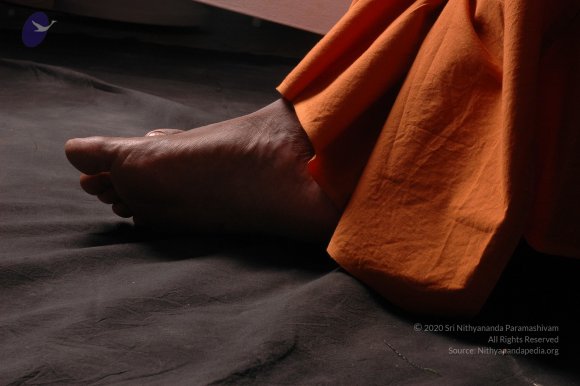 20061019_Photo_1462_DSC_6414_CMP_WM