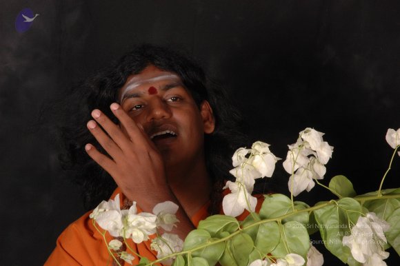 20061019_Photo_1567_DSC_6166_CMP_WM